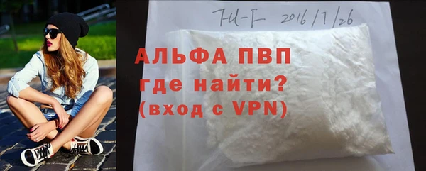 прущие грибы Сатка