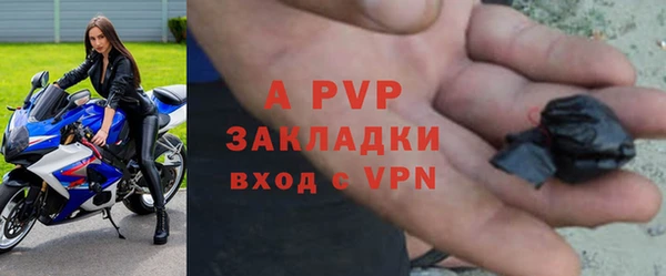 твердый Гусев