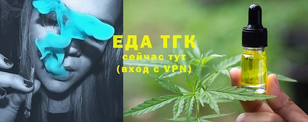 твердый Гусев