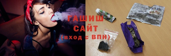 твердый Гусев