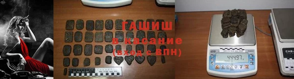 твердый Гусев