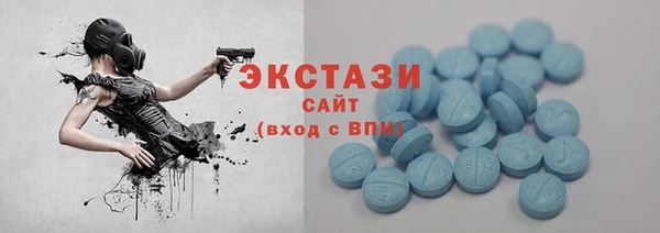 твердый Гусев