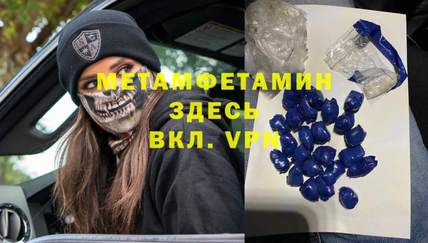 гидра Гусь-Хрустальный