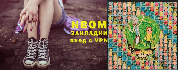твердый Гусев