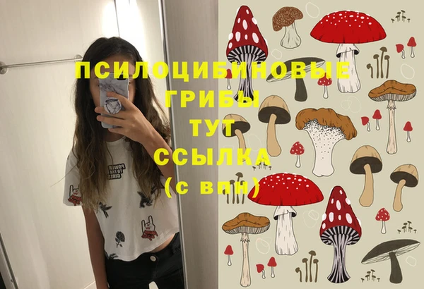 круглые Краснослободск