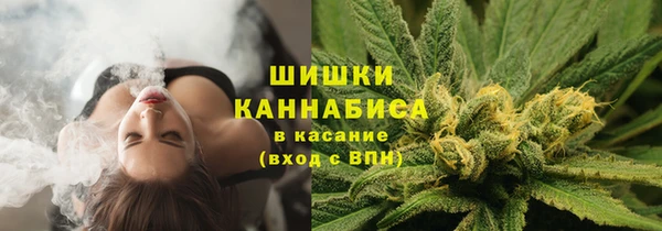 твердый Гусев