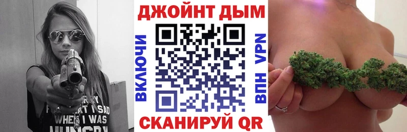 где можно купить наркотик  Новотроицк  Канабис сатива 
